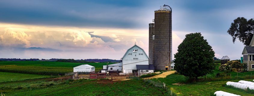 Knowing doing gap - dairy farm