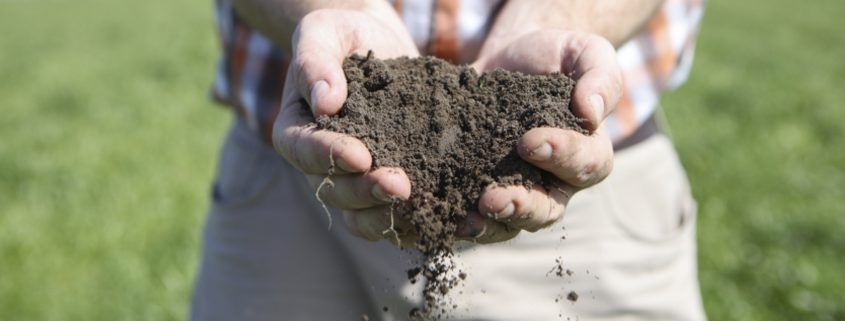 Soil is a living ecosystem