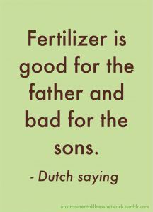 Dutch saying