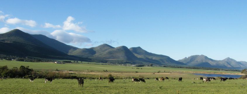 Dairy farm