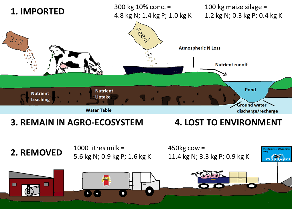 Nutrient flow