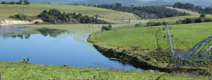 Water use and irrigation