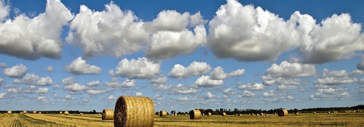 Why carbon footprints on farms