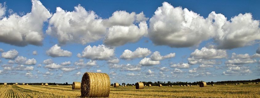 Why carbon footprints on farms