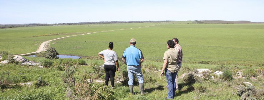 The role that farmers play