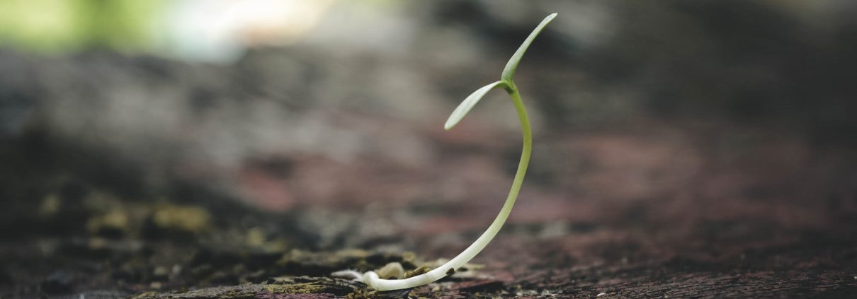 Soil life indicators