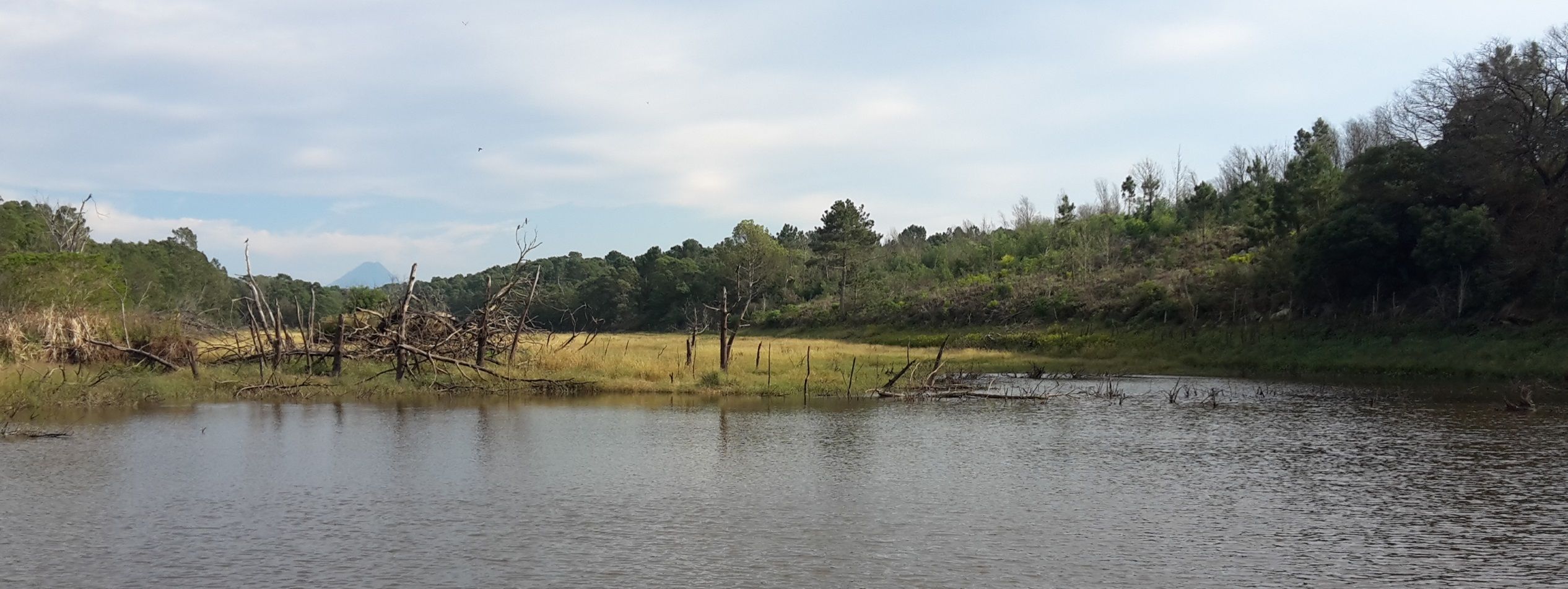 Biodiversity dam