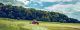 Tractor working in field