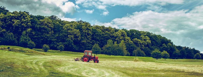 Tractor working in field