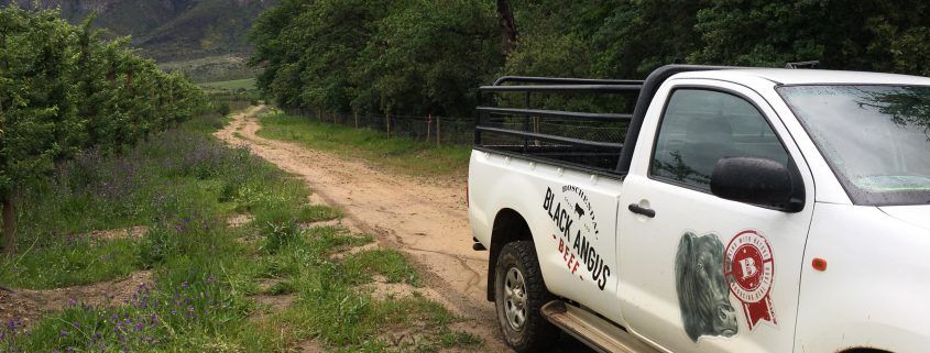 Boschendal Grass-fed beef