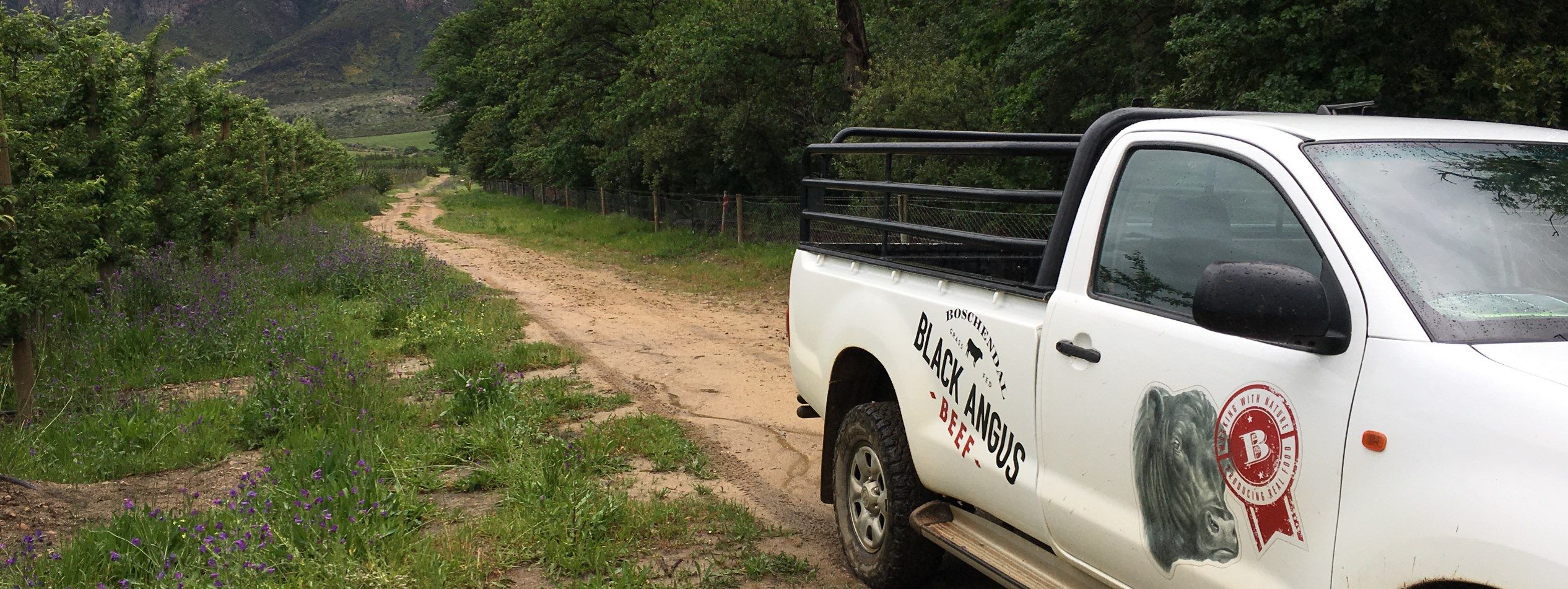 Boschendal Grass-fed beef