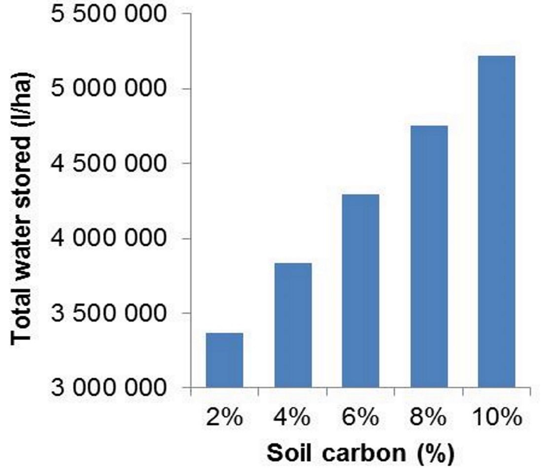 Carbon Water storage graph