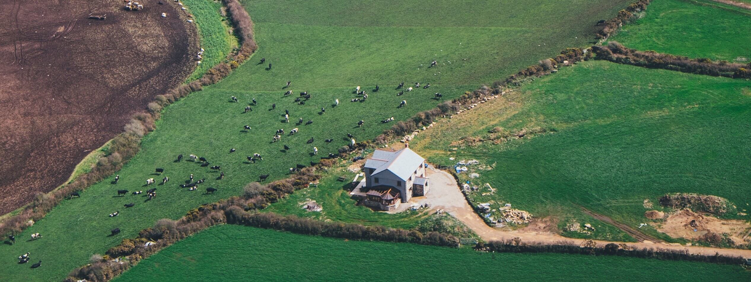 Dairy farm