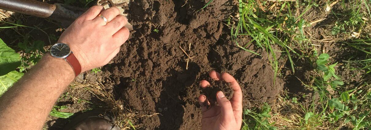 Examining soil