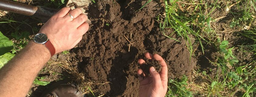 Examining soil