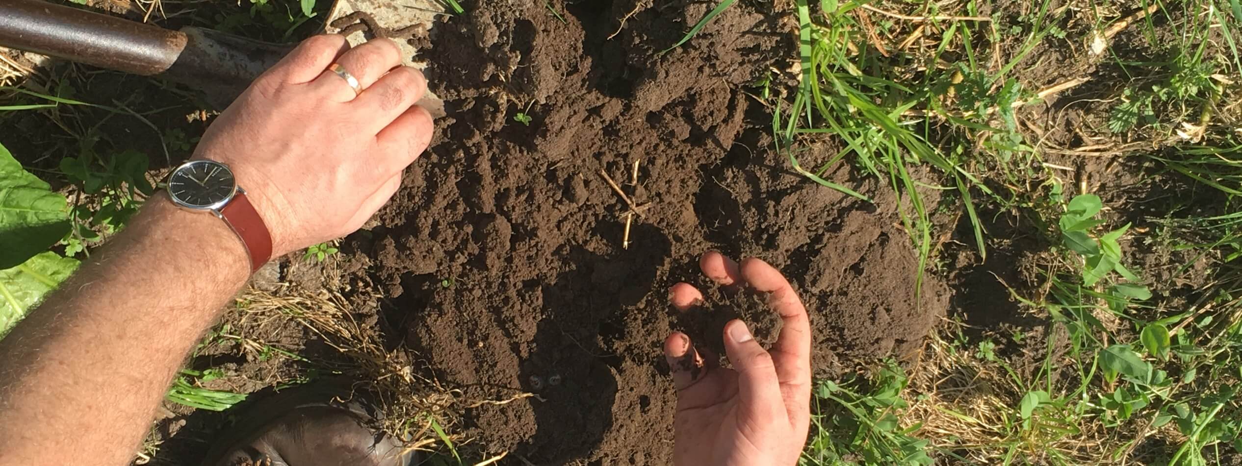 Examining soil