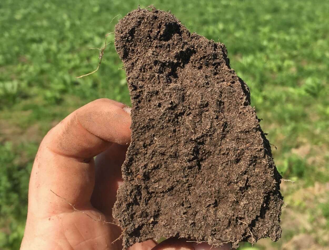 Soil aggregate - good