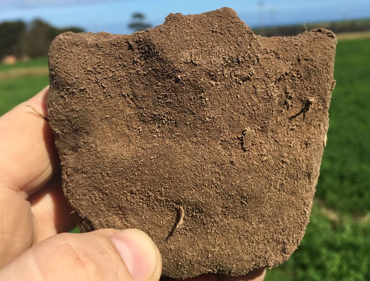 Soil aggregate - poor