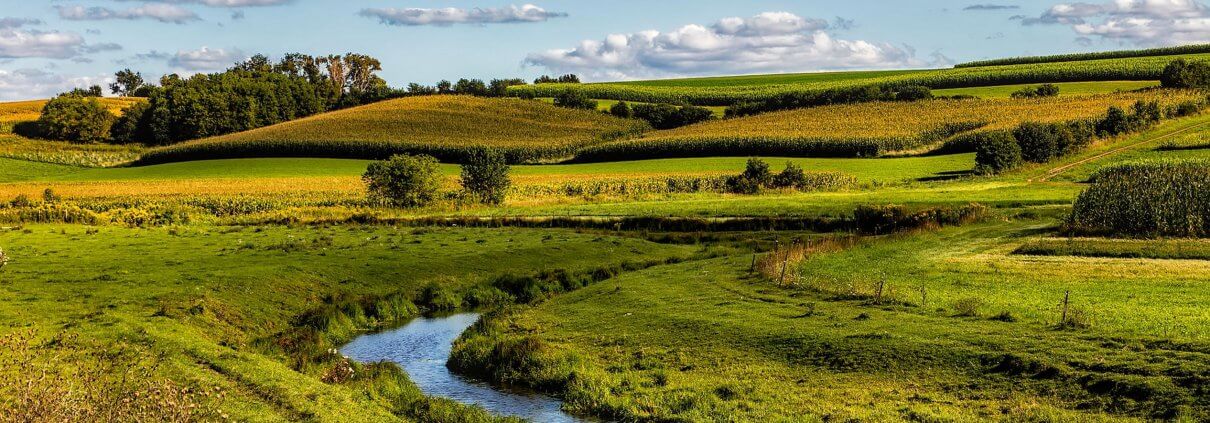 Stream through farm