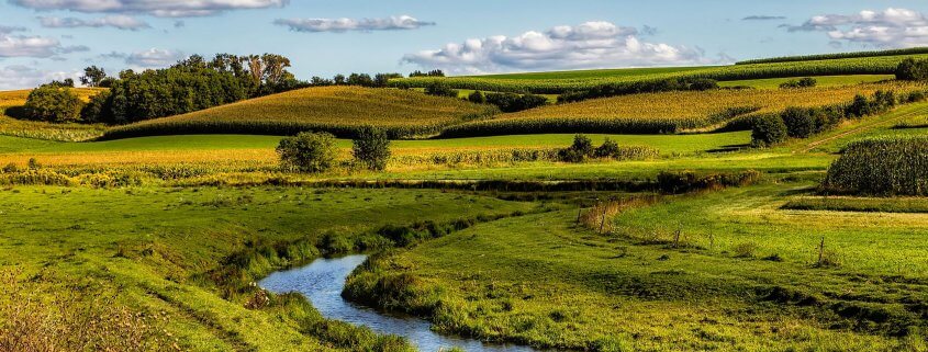 Stream through farm