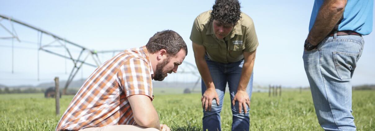 Examining pastures