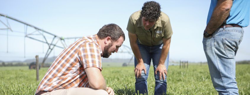 Examining pastures