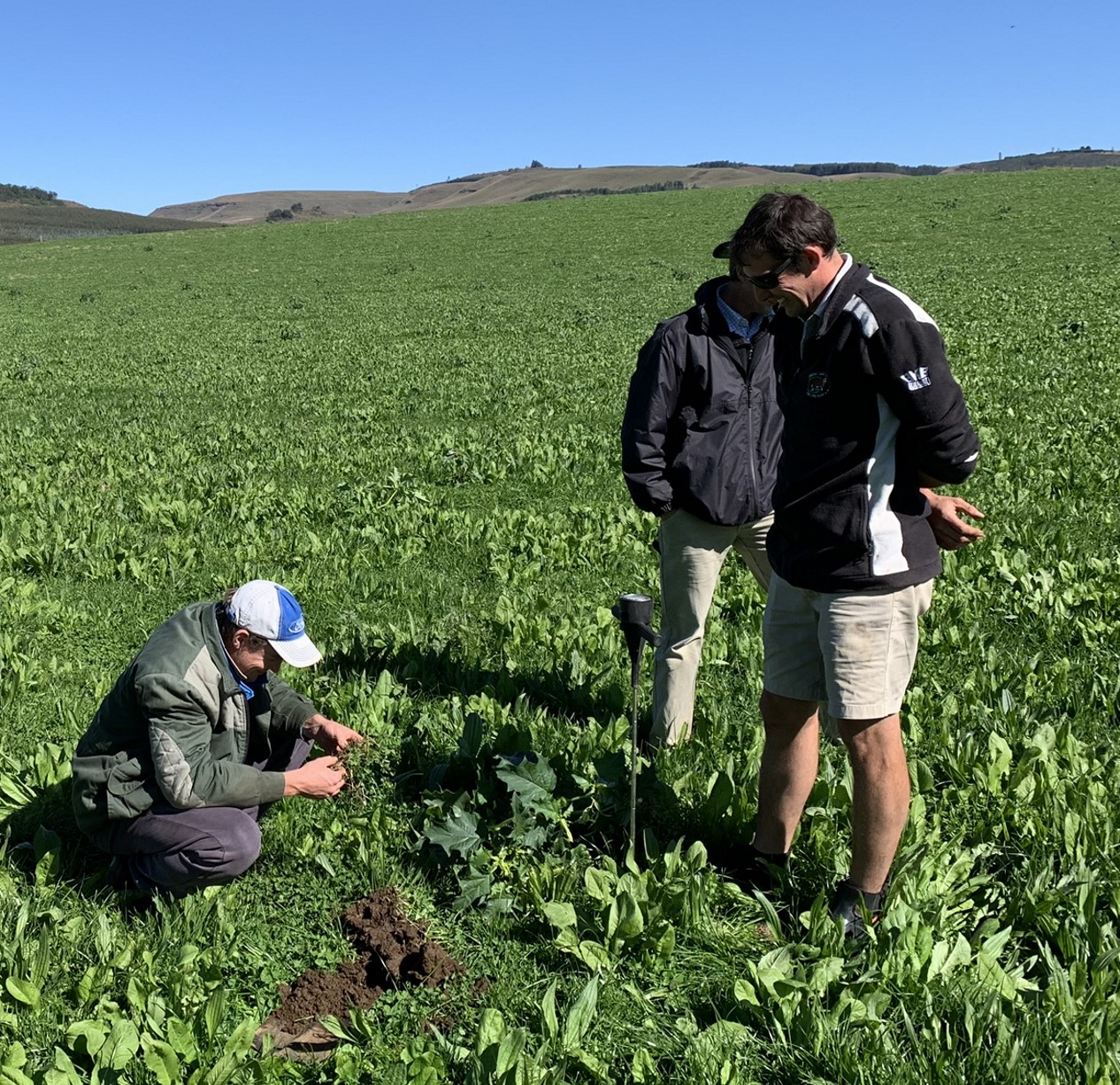 Farmers examining soil