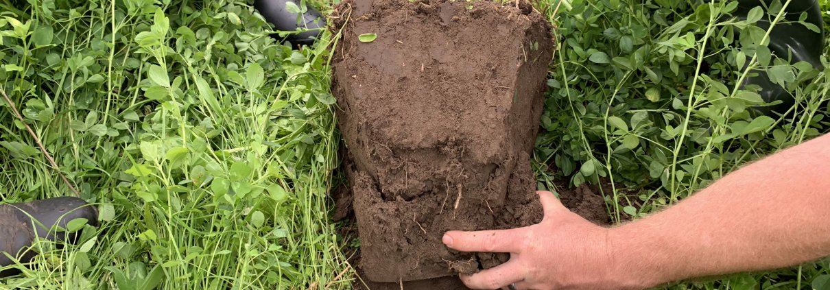 Hand with soil