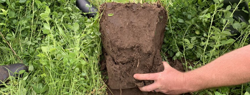 Hand with soil