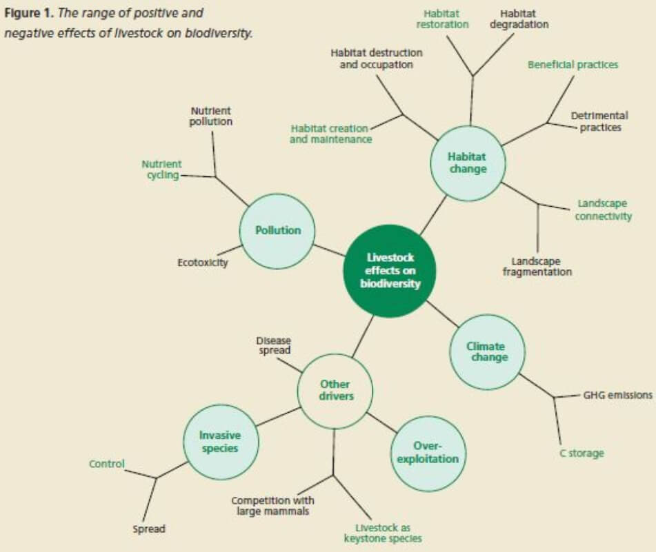 Figure 1 - Effects of livestock on biodiversity