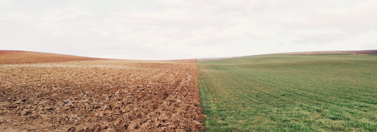 Contrasting fields