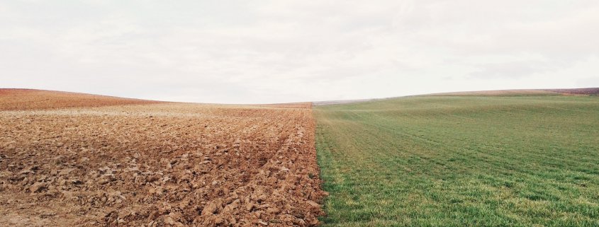 Contrasting fields