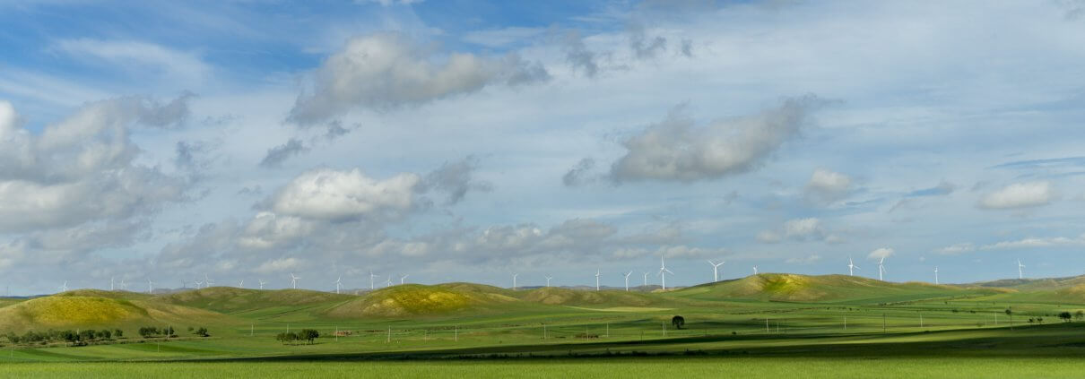 Windmills grasslands