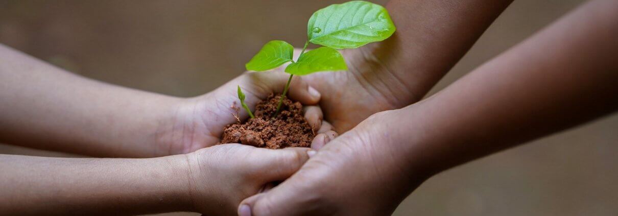 soil in hands