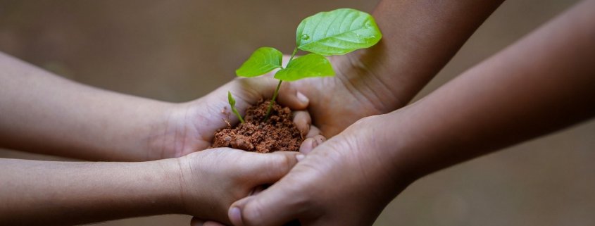 soil in hands