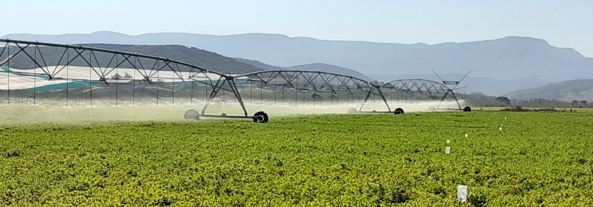 Irrigation efficiency