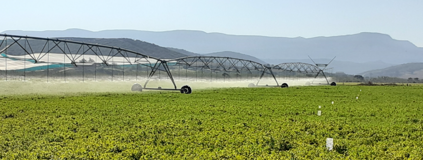 Irrigation efficiency