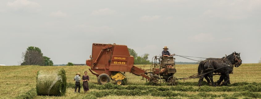 Old farming methods