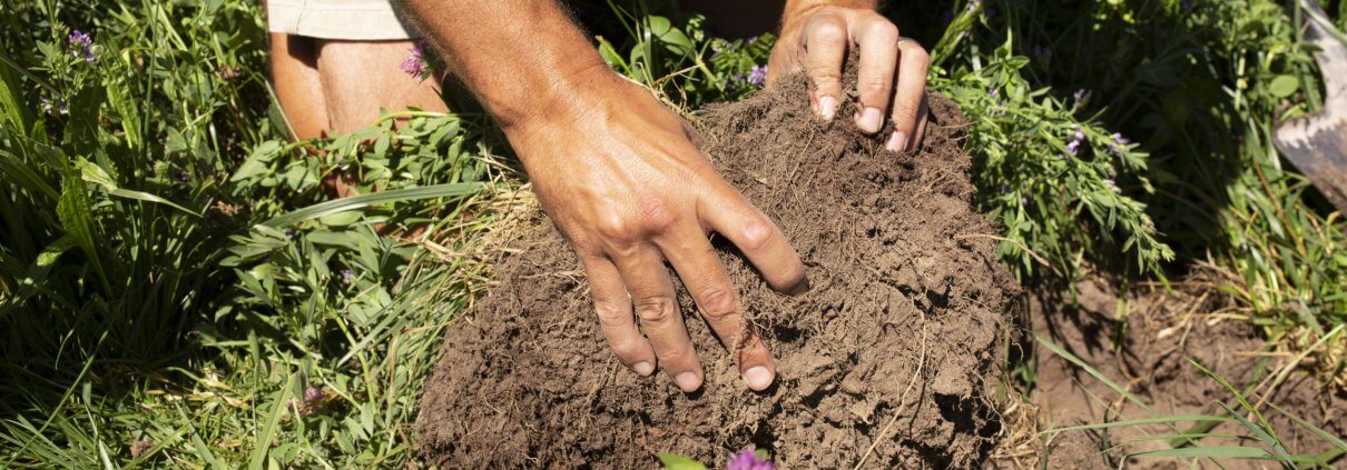 Hands in soil