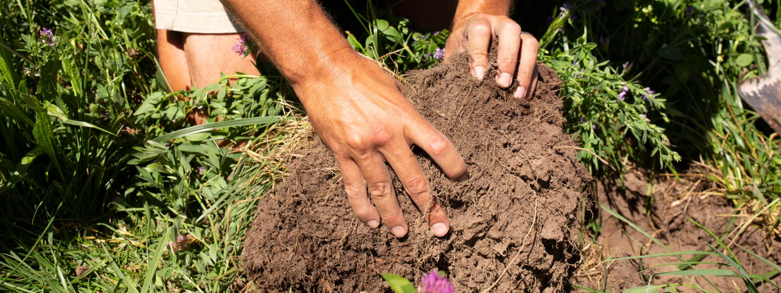 Hands in soil